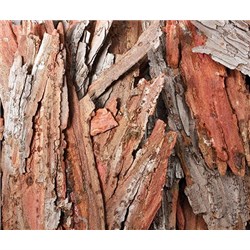 Bark Pieces Assorted 250g_2